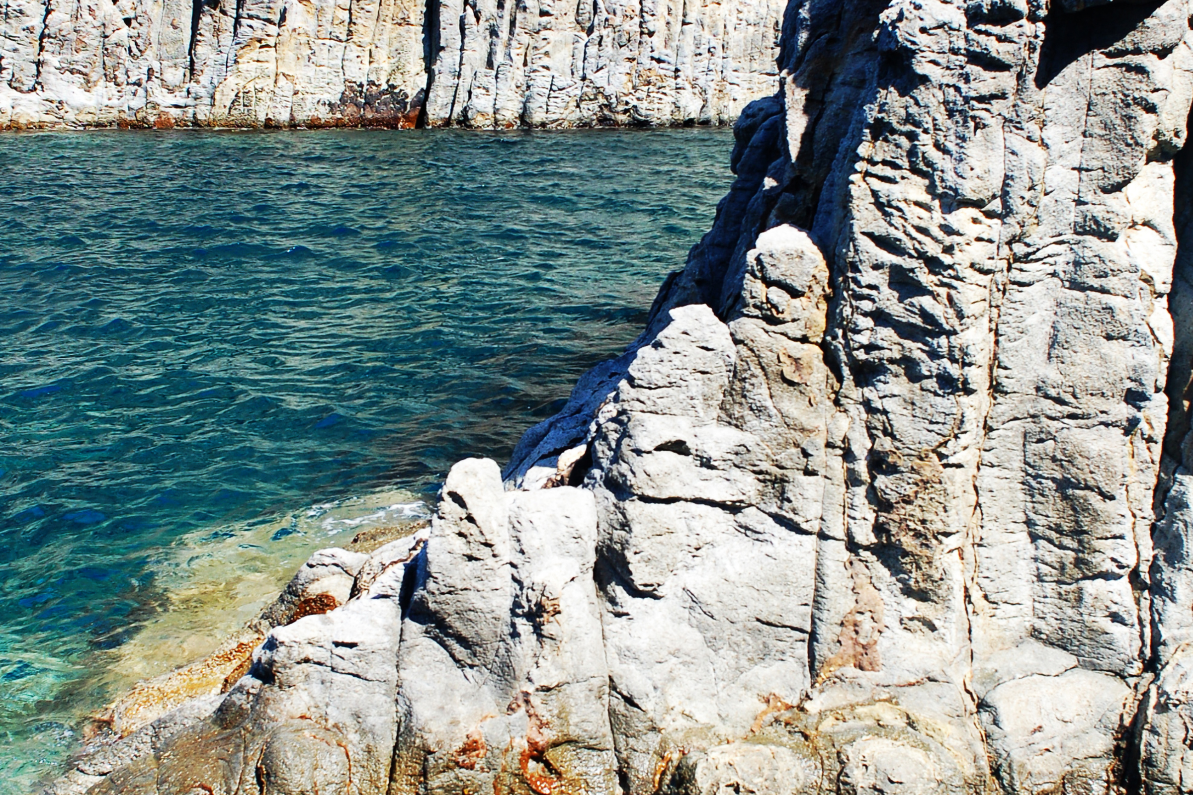57 palmarola island.webp